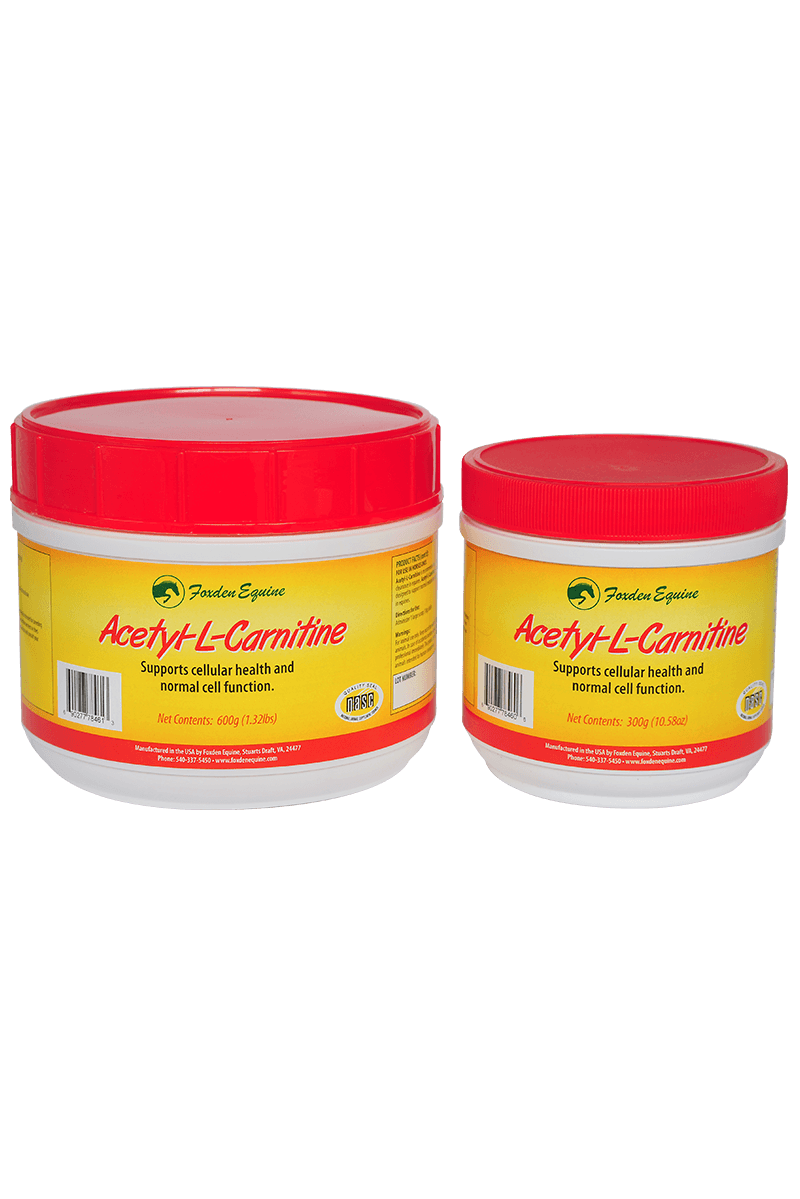 Horse Antioxidant & Metabolic Boost AcetylLCarnitine Foxden Equine