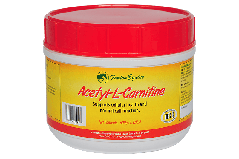 Horse Antioxidant & Metabolic Boost Acetyl-L-Carnitine Foxden Equine Horse Antioxidant & Metabolic Boost Acetyl-L-Carnitine Foxden Equine