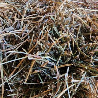 Stemmy hay for horses
