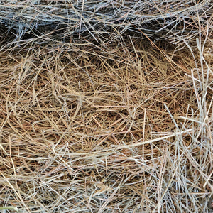 Feeding Horses in Winter: The Importance of Free Choice Hay