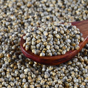 Feeding Pearl Millet to Horses