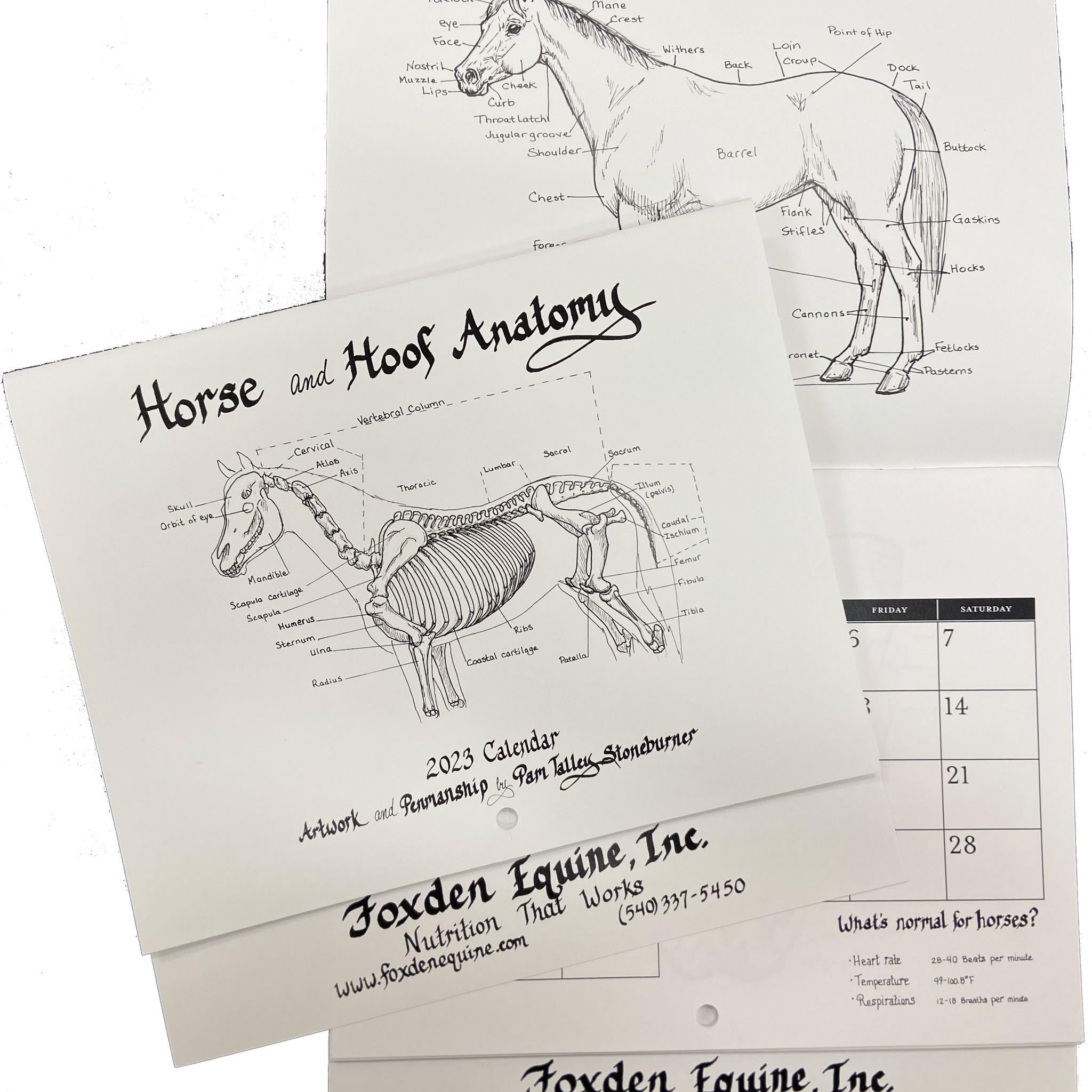 Horse & Hoof Anatomy Calendar