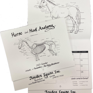 Horse & Hoof Anatomy Calendar