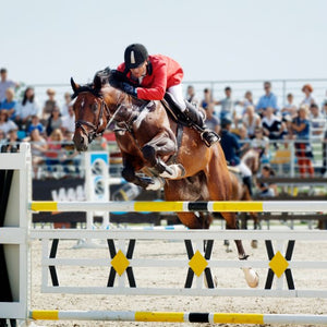 Horse competition hurdle jump