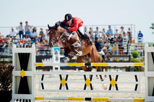 Horse competition hurdle jump
